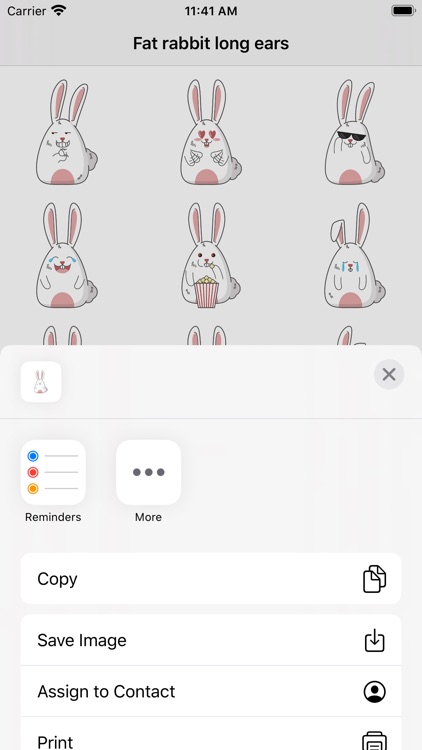 Fat rabbit long ears