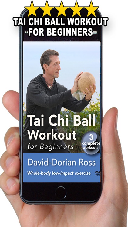 Tai Chi Ball Beginner screenshot-4