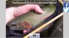 fly fishing simulator problems & solutions and troubleshooting guide - 1