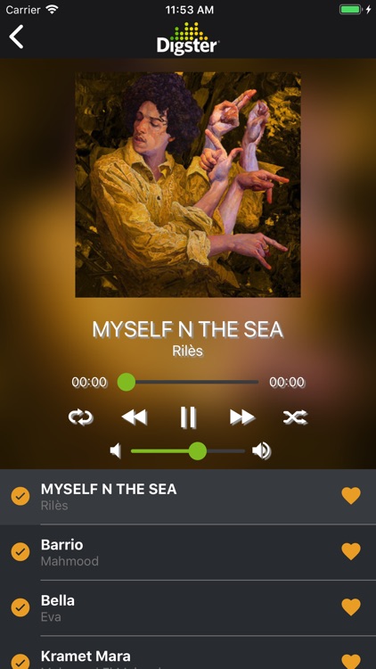 Digster Music Maroc screenshot-5