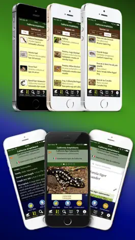 Game screenshot California Amphibians hack