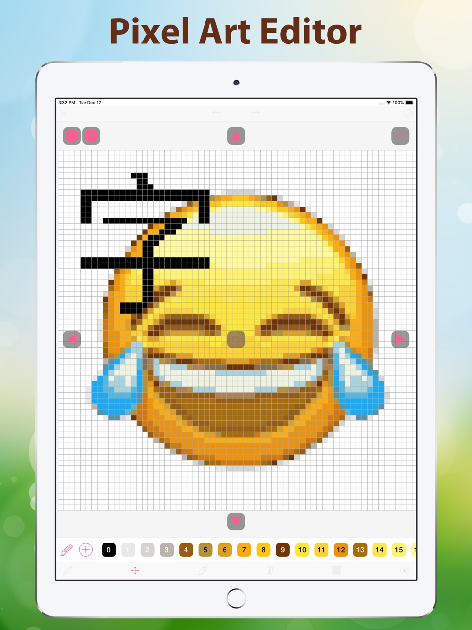 iPad screenshot