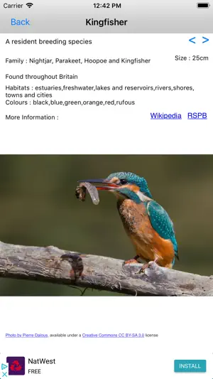 Birds Of Britain screenshot 1