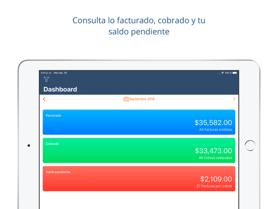 Facturación electrónica iPad screenshot 5 - Business app