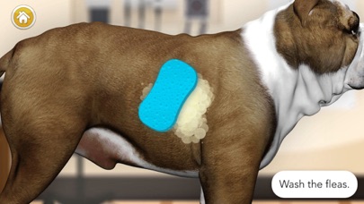 Dog Games: Pet Vet Doctor Care Screenshot