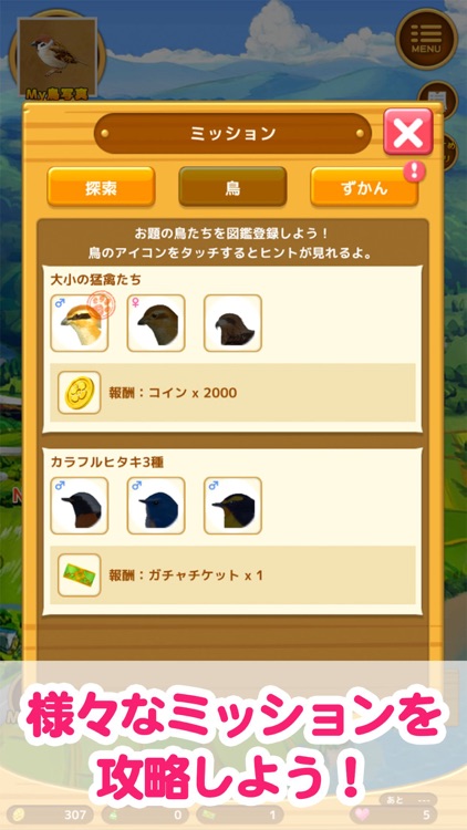 鳥マスター！ screenshot-3