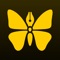 Ulysses
