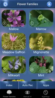 wild flower id british isles iphone screenshot 1