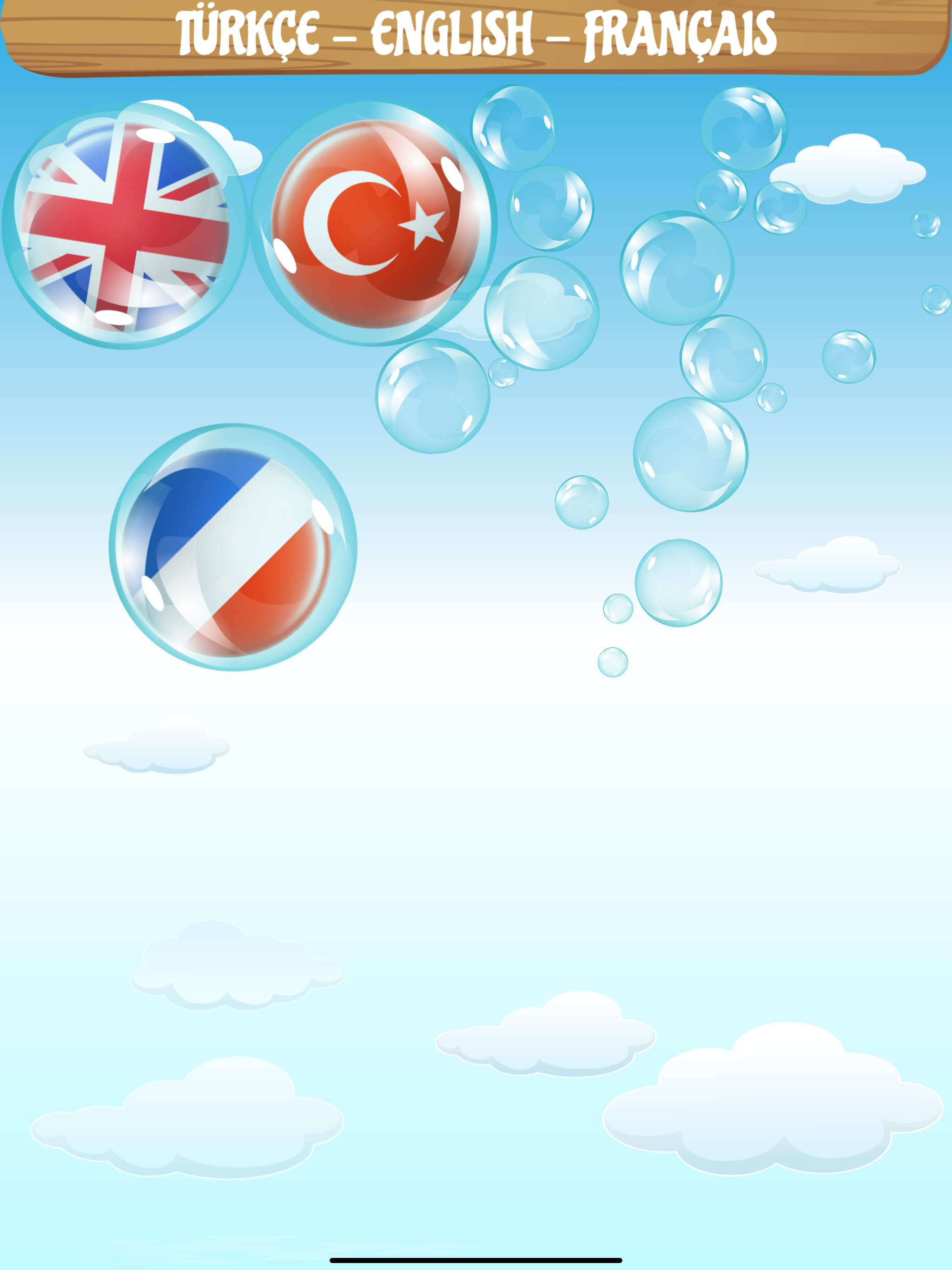 Bil Bakalım 2