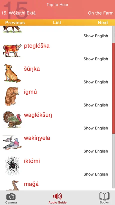 Lakota Media Player