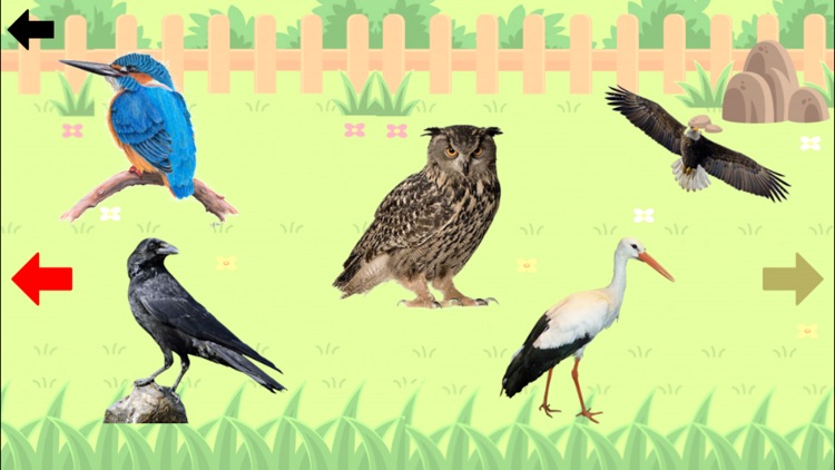 Animal Learning for Kids