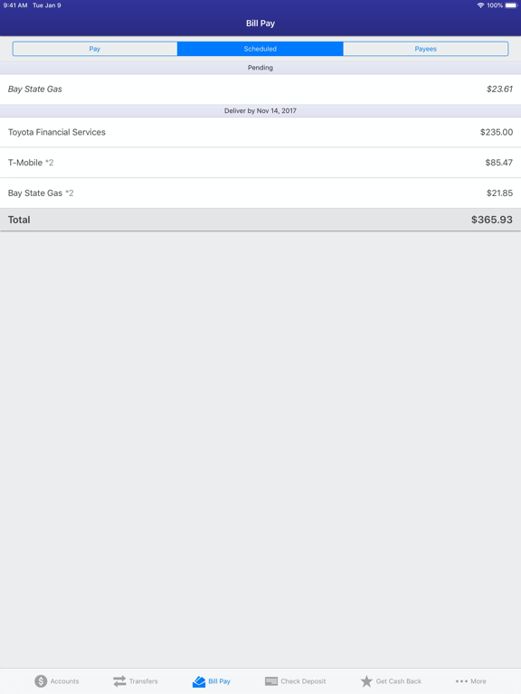 Safe 1 Mobile Banking iPad screenshot 6 - Finance app