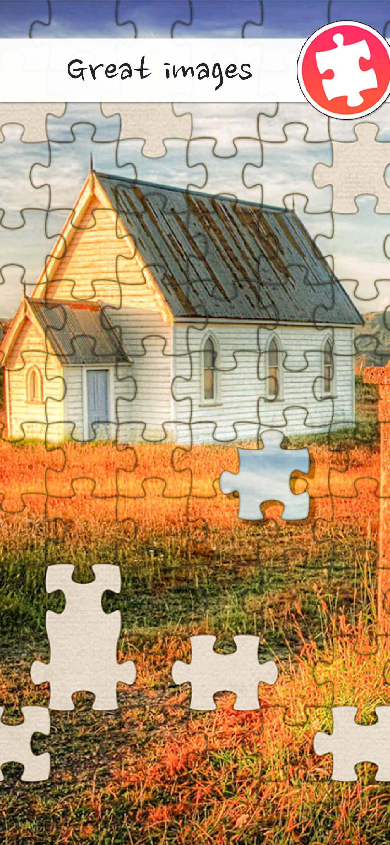 Puzzle Man Pro
