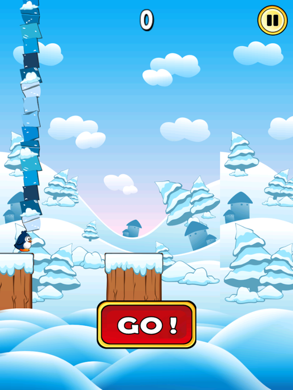 Penguin Bridge Club Race