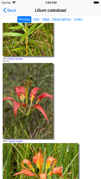 Screenshot #3 pour Alabama Wildflowers