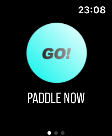 Paddlz: Paddle Fitness Tracker