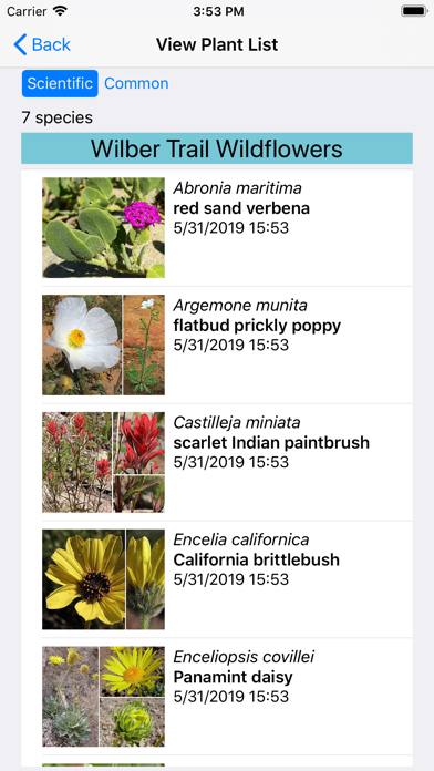 South California Wildflowers Screenshot