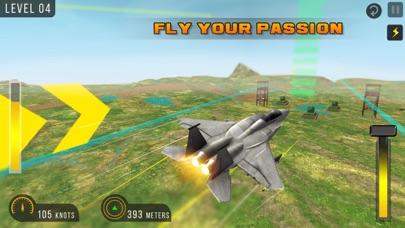 Airplane Pilot Flight: 3D Game screenshot 2