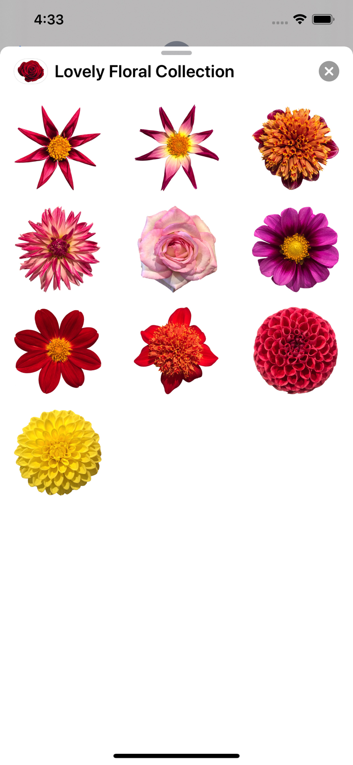 Lovely Flower Collection