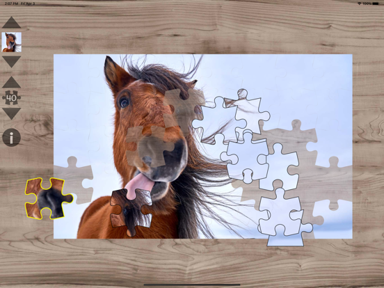 Screenshot #6 pour Poneys