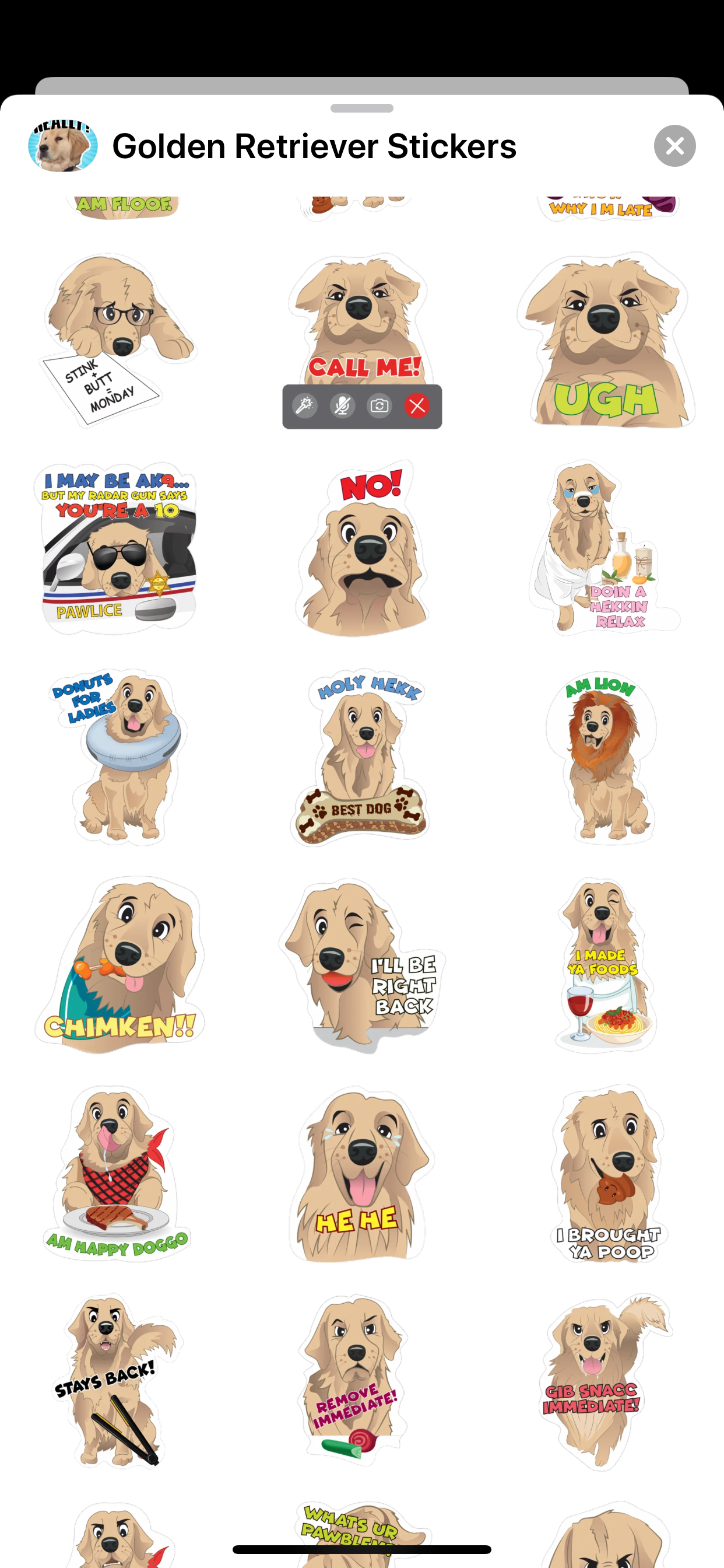 Golden Retriever Stickers