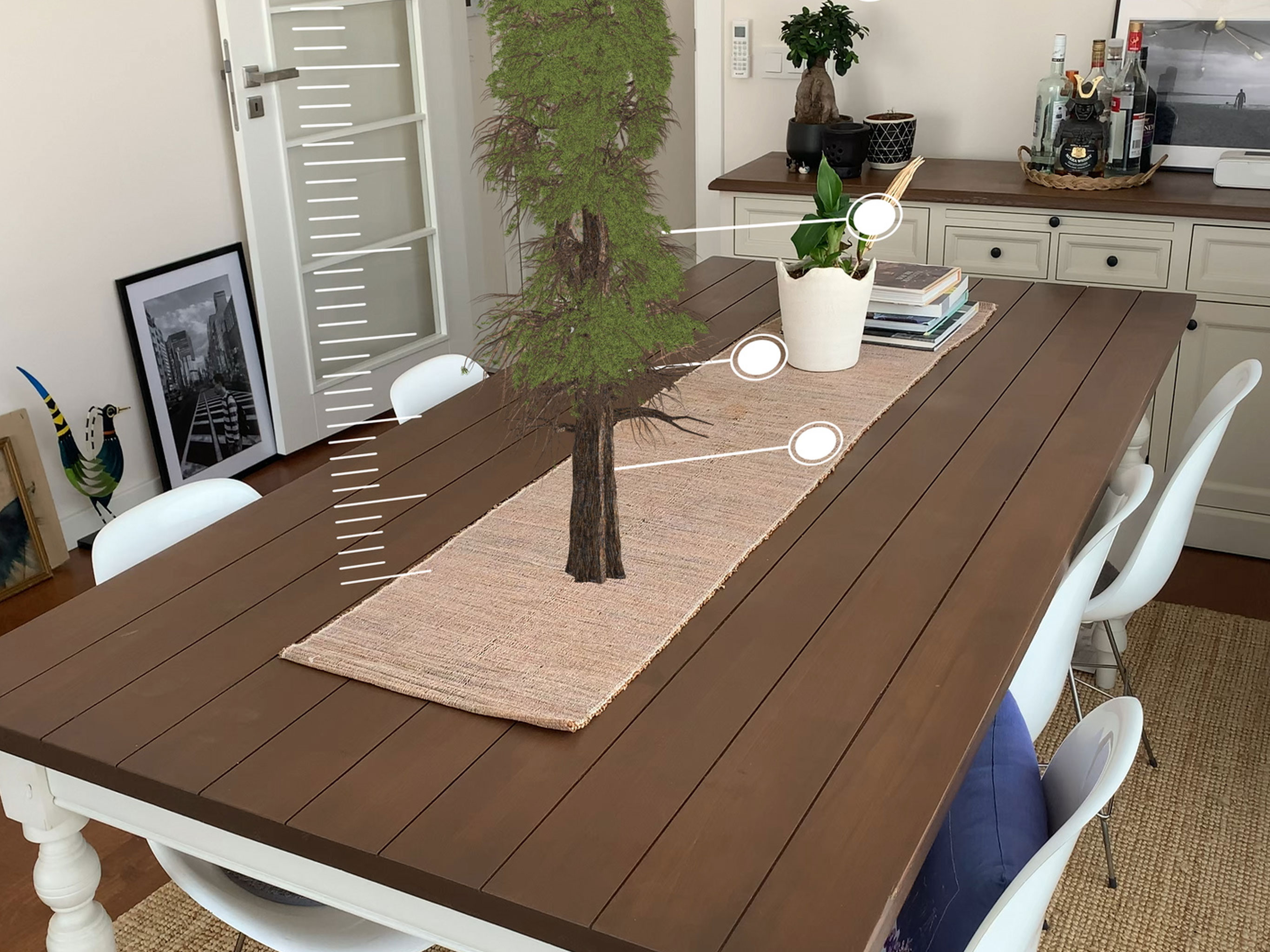 Coast Redwood Canopy screenshot 8
