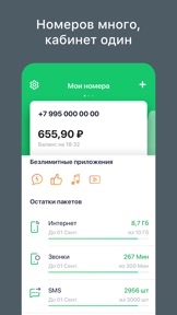 Скриншот