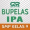 QRActive Bupelas IPA 9