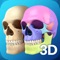 My Skull Anatomy app for studying Skull anatomy which allows you to rotate 360° , Zoom and move camera around a highly realistic 3D model