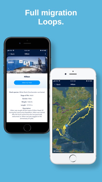 OCEARCH Shark Tracker screenshot-3