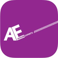 Avenir Experts pour PC