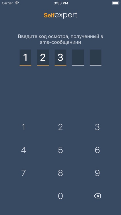 Зетта Клиент