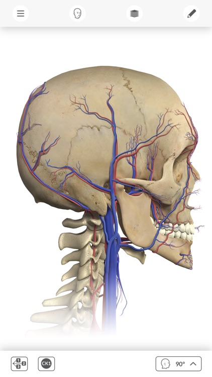 Interactive Anatomy - PH screenshot-3