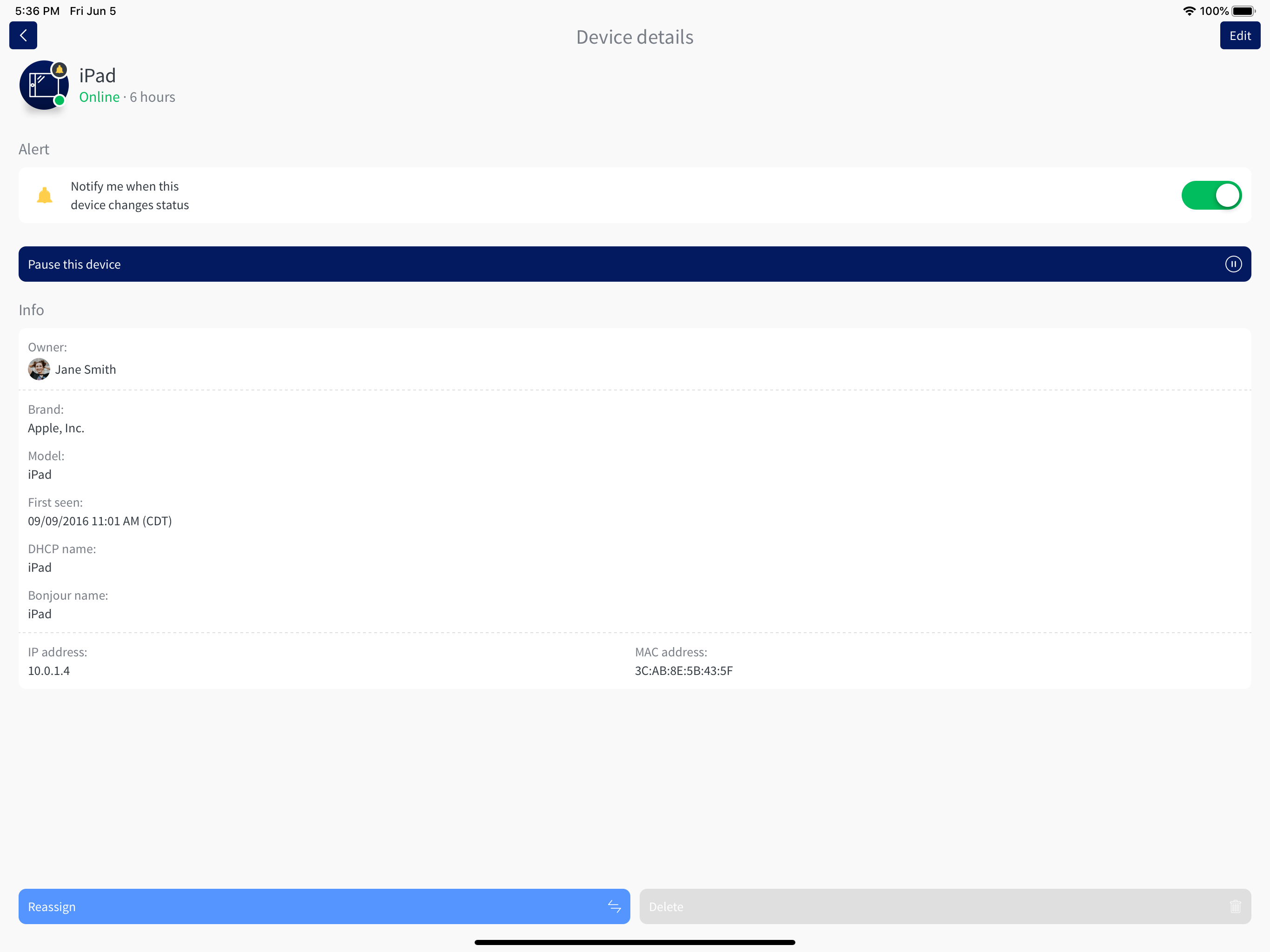 Violet - Digital Support