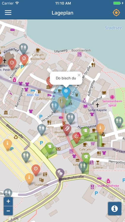 AHA - Narrenzunft Waldsee