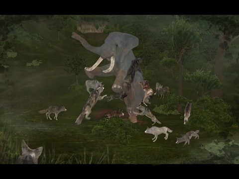 Wild Animals Online(WAO)のおすすめ画像2