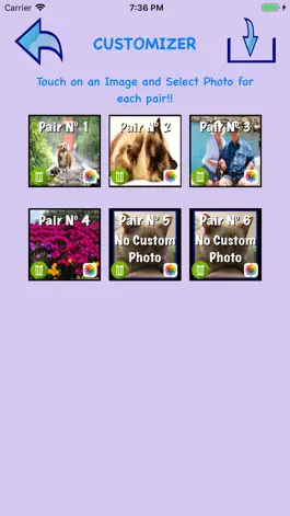 Game screenshot Custom Pairs of Cards. hack