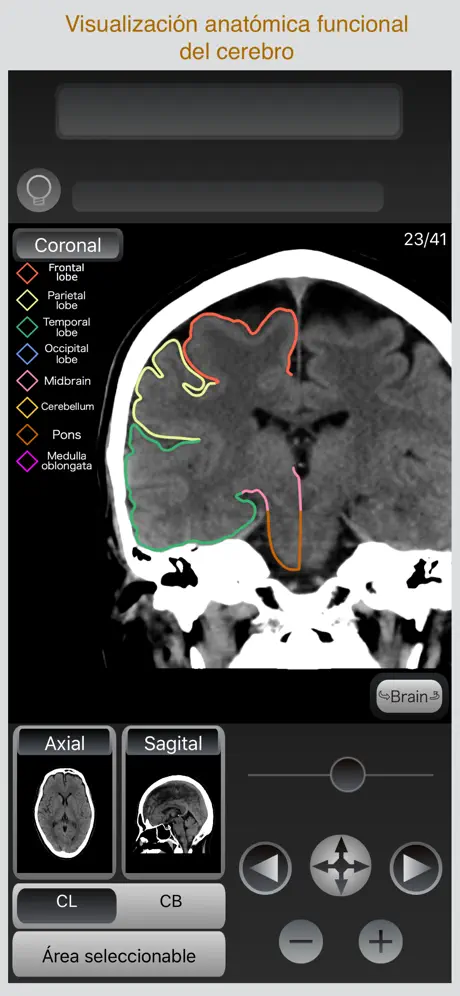 CT Passport Head