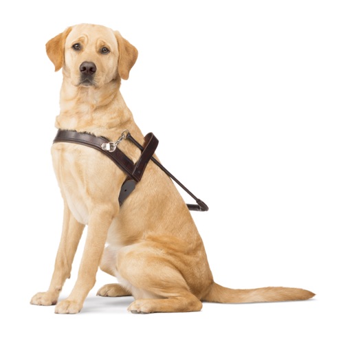 Guide Dogs NSW/ACT