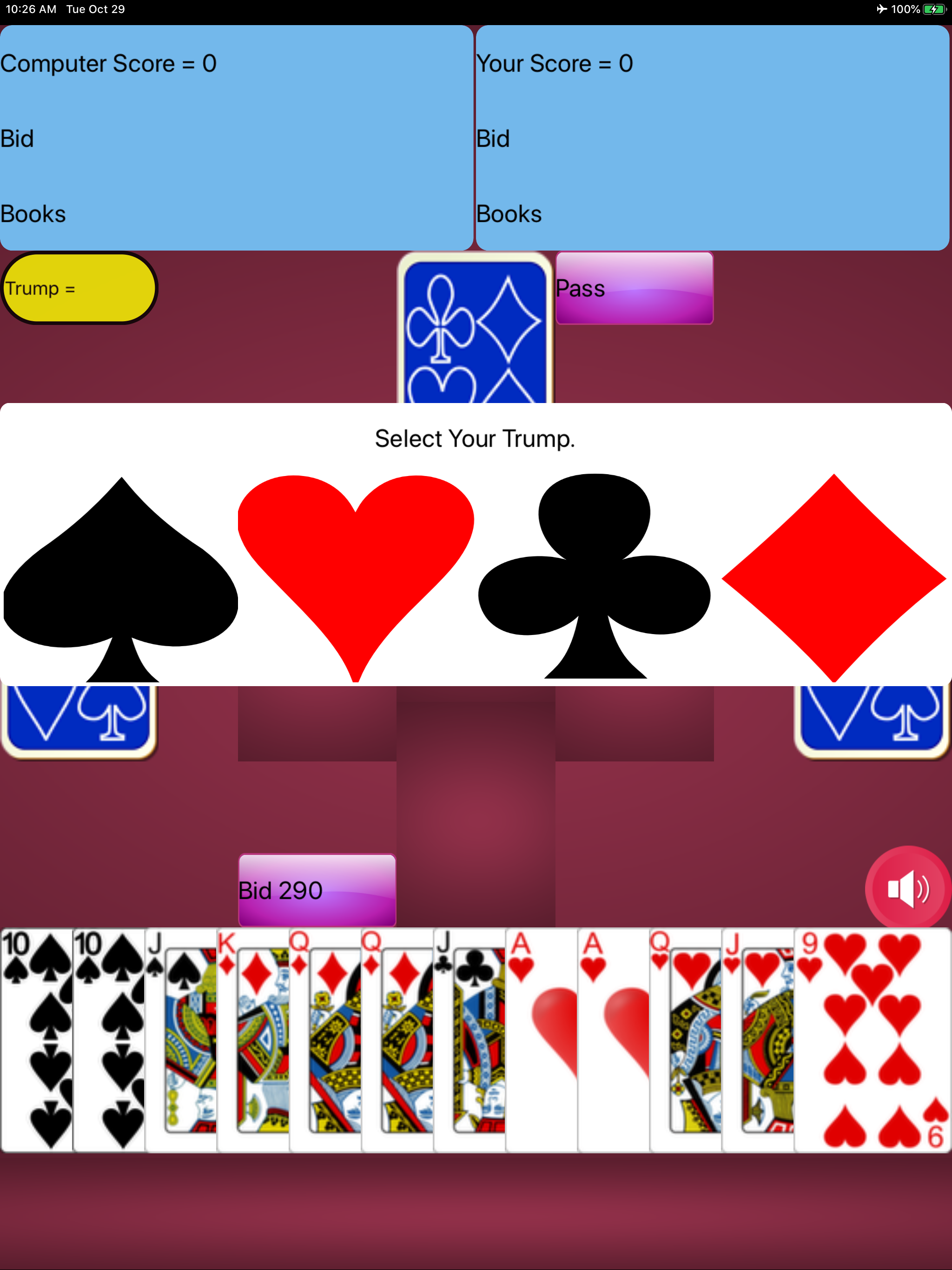 Pinochle Card Game