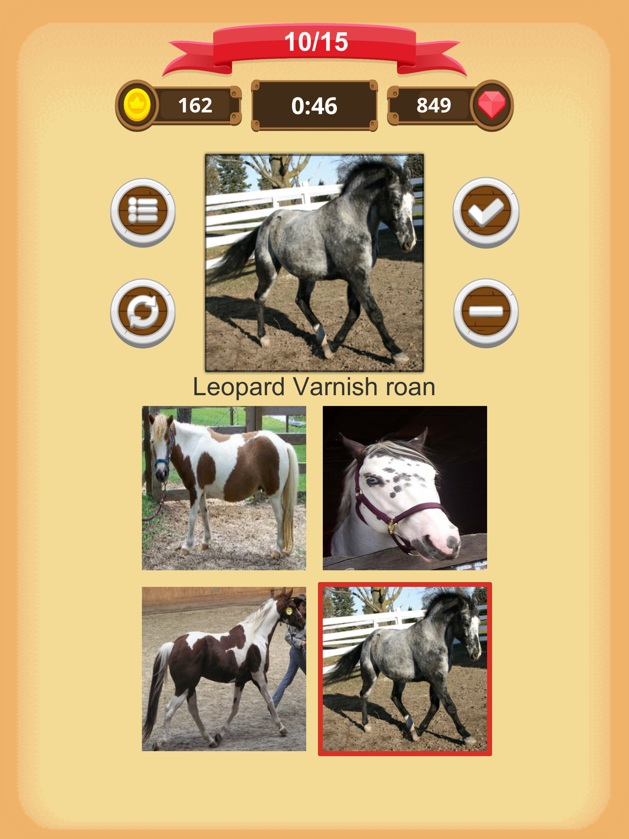 Horse Coat Colors - Quiz