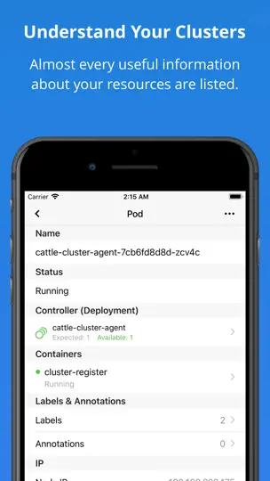 Captura de pantalla de Kuber - Kubernetes Dashboard en iPhone 6