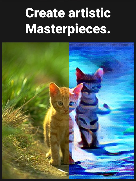 Divine Art Filters iPad screenshot 4 - Photo & Video app