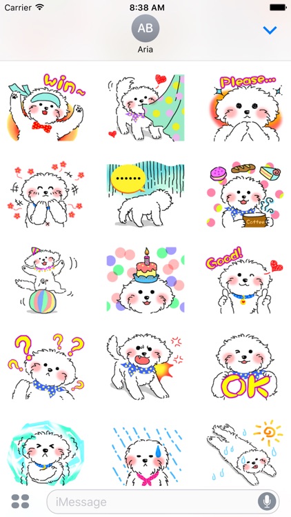 Cute Maltese Puppy Sticker