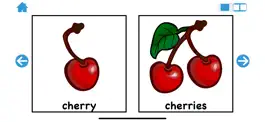 Game screenshot Teach Me Plurals hack