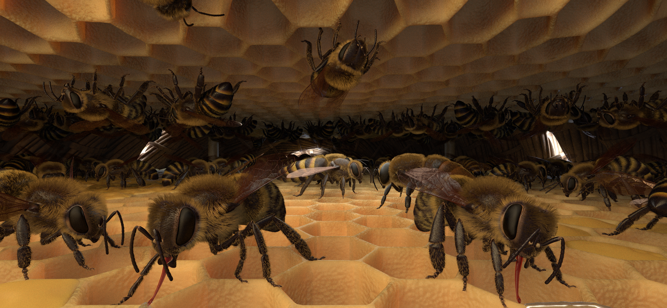 Honigbiene VR