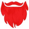 Red Beard Insurance Group