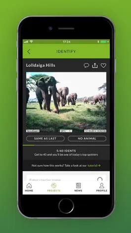 Game screenshot ZSL Instant Wild apk