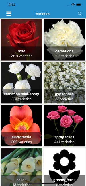 DaoFlowers(圖1)-速報App