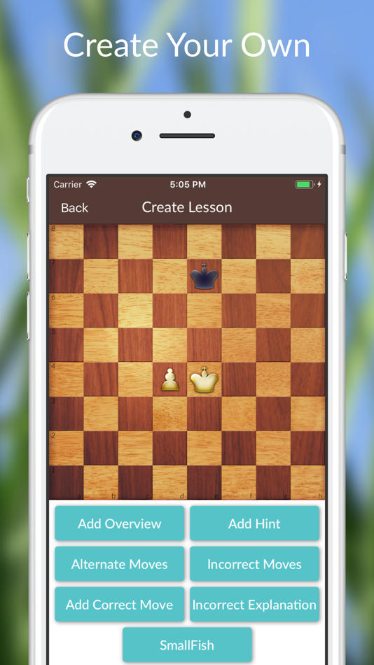 #4. Chess Tactics and Lessons (iOS) Podle: Lockwood Productions, LLC